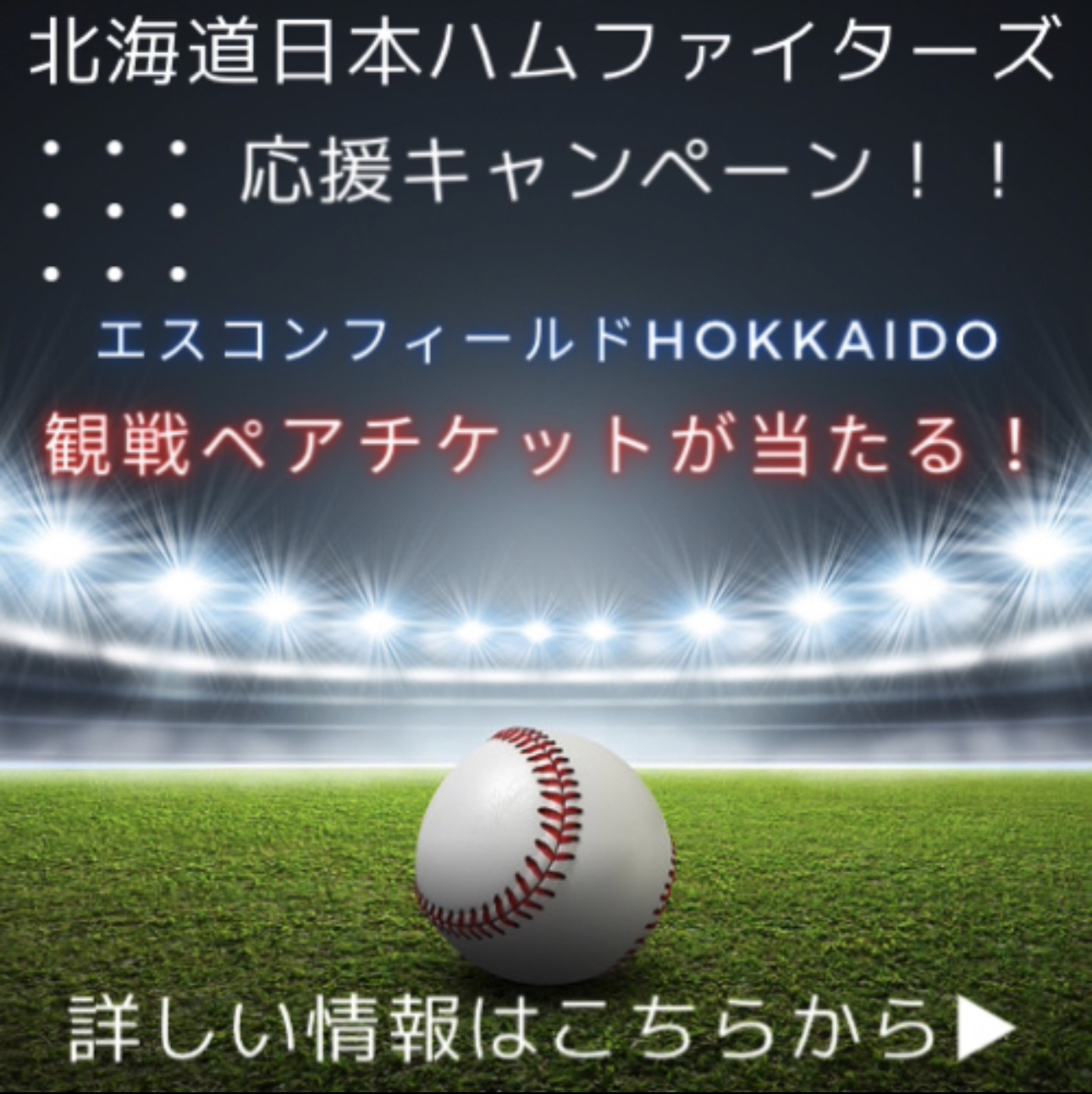 キャンペーン
